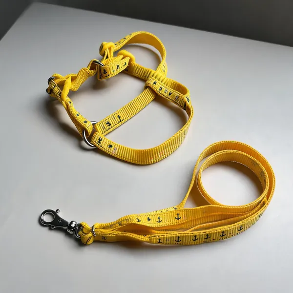 Nylon_Printed_Harness_And_Leash_Set_For_Dogs_Yellow_-_Pack_of_2