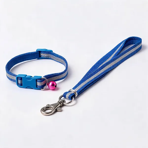 Blue_Nylon_Reflective_Collar_&_Leash_Set_For_Dogs_&_Cats_-_Pack_of_2