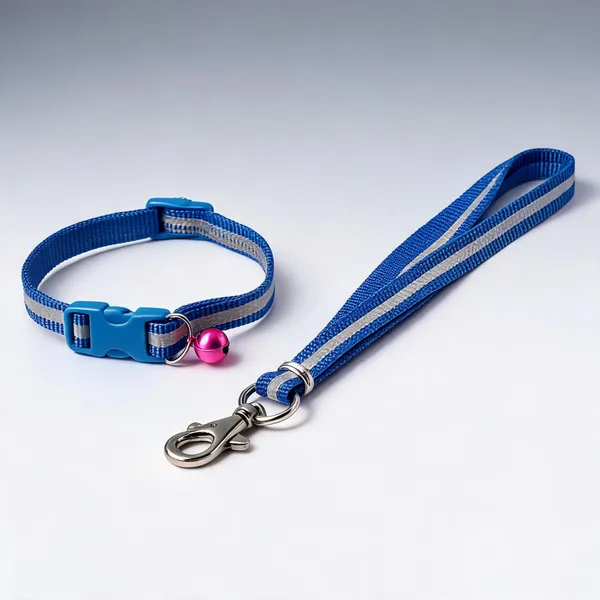 Blue_Nylon_Reflective_Collar_&_Leash_Set_For_Dogs_&_Cats_-_Pack_of_2