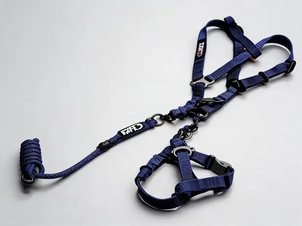 Blue_Braided_Rope_Nylon_Dog_Harness_Set_-_Pack_of_2