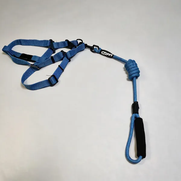 Blue_Nylon_Padded_Rope_Dog_Harness_And_Leash_Set