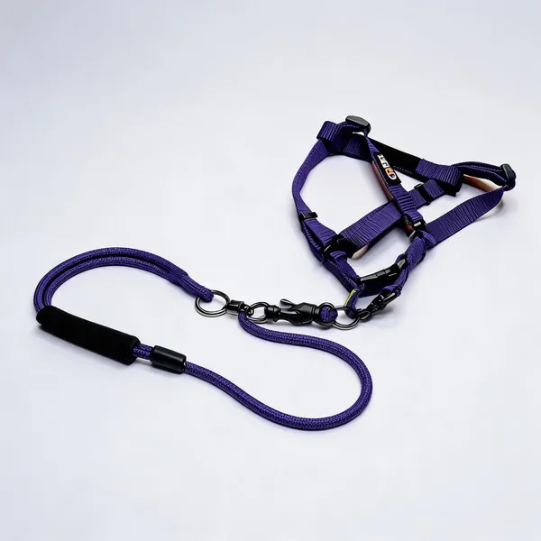 Purple_Nylon_Rope_Dog_Harness_And_Leash_Set