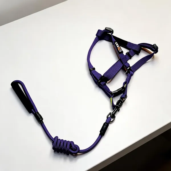 Purple_Nylon_Rope_Dog_Harness_And_Leash_Set