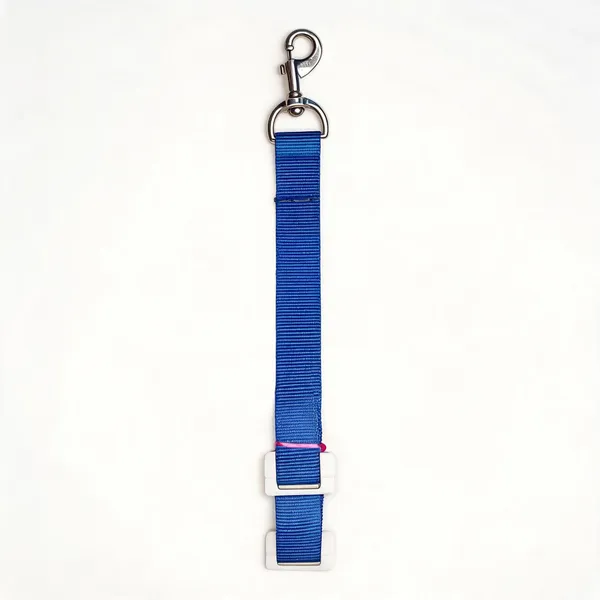 Blue_Nylon_Adjustable_Dog_Collar_And_Leash_Set_-_Pack_of_2