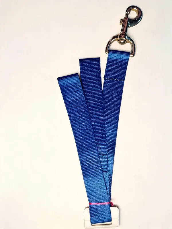 Blue_Nylon_Adjustable_Dog_Collar_And_Leash_Set_-_Pack_of_2