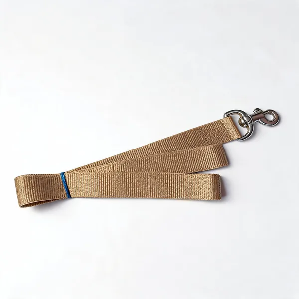 Nylon_Webbed_Walking_Leash_For_Dogs_Tan_-_Pack_of_2