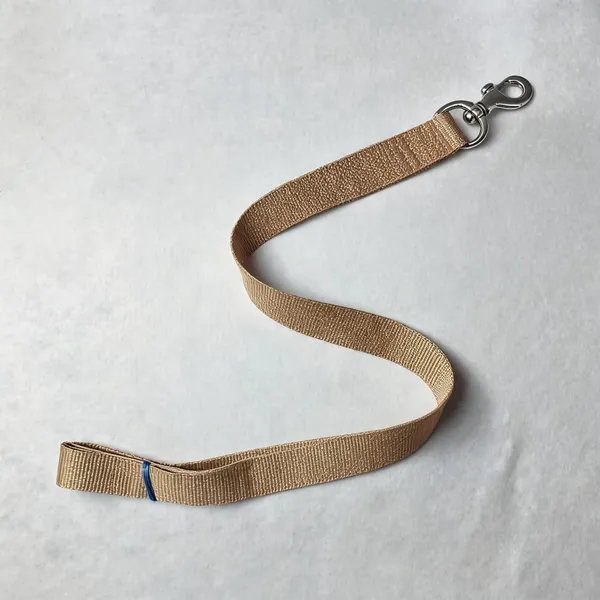 Nylon_Webbed_Walking_Leash_For_Dogs_Tan_-_Pack_of_2