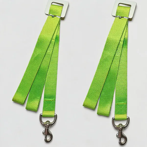 Green_Nylon_Dog_Collar_And_Leash_Set_-_Pack_of_2