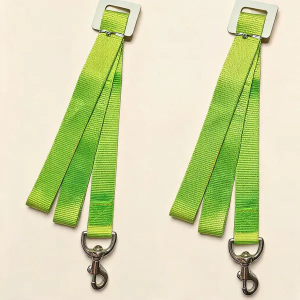 Green_Nylon_Dog_Collar_And_Leash_Set_-_Pack_of_2