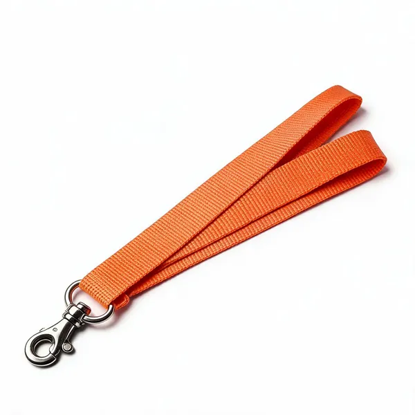Orange_Nylon_Dog_Collar_And_Leash_Set_-_Pack_of_2