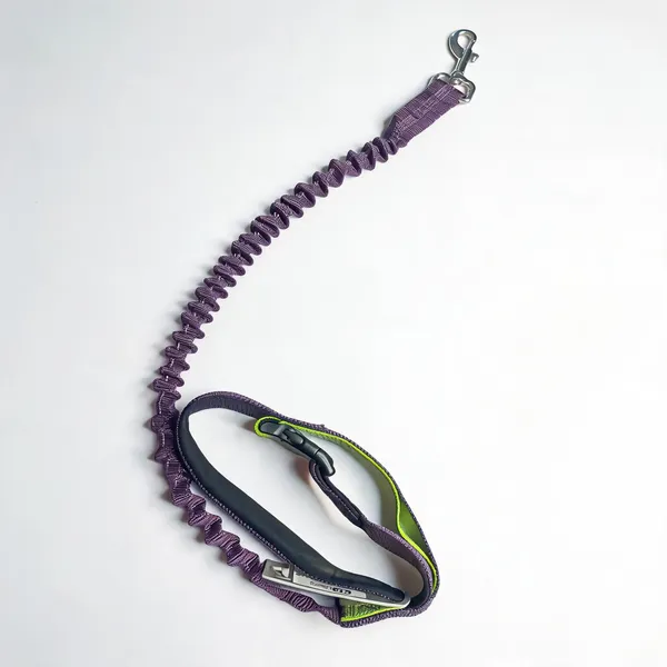 Purple_Nylon_Shock-Absorbing_Double_Handle_Dog_Leash