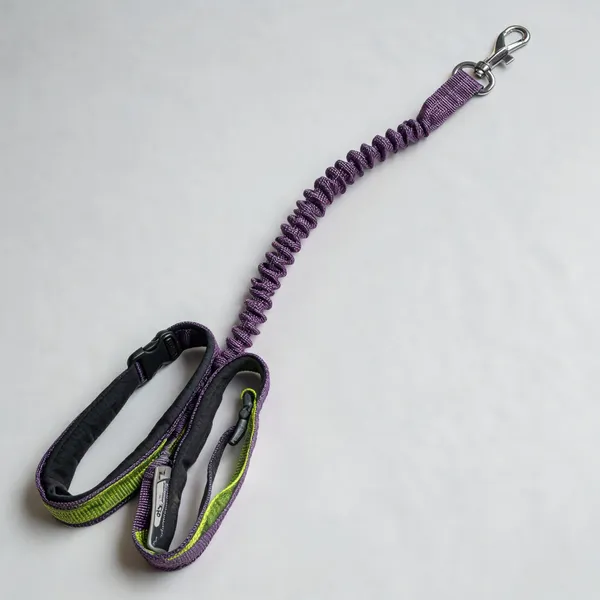 Purple_Nylon_Shock-Absorbing_Double_Handle_Dog_Leash