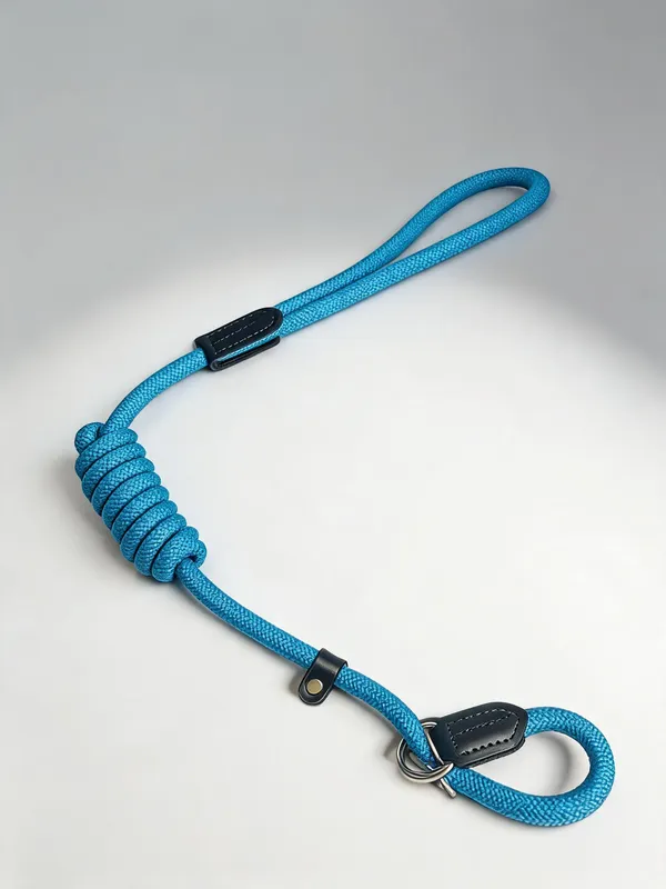 Blue_Nylon_Braided_Loop_Lock_Show_Leash_For_Dogs