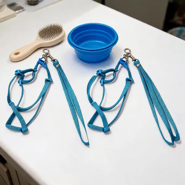 Nylon_Blue_Adjustable_Dog_Harness_And_Leash_Set_-_Pack_of_2