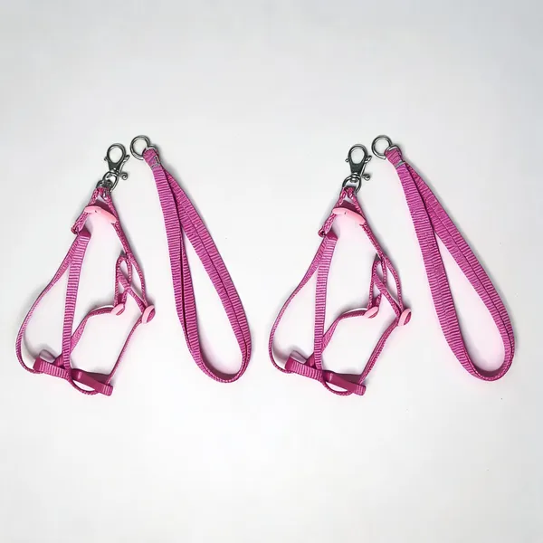 Nylon_Pink_Rope_Dog_Harness_And_Leash_Set_-_Pack_of_2