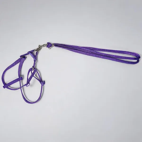 Purple_Nylon_Dog_Body_Harness_And_Leash_Set_-_Pack_of_2