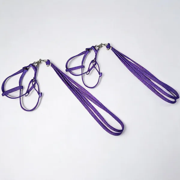 Purple_Nylon_Dog_Body_Harness_And_Leash_Set_-_Pack_of_2