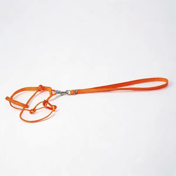 Orange_Nylon_Dog_Harness_And_Leash_Set_-_Pack_of_2