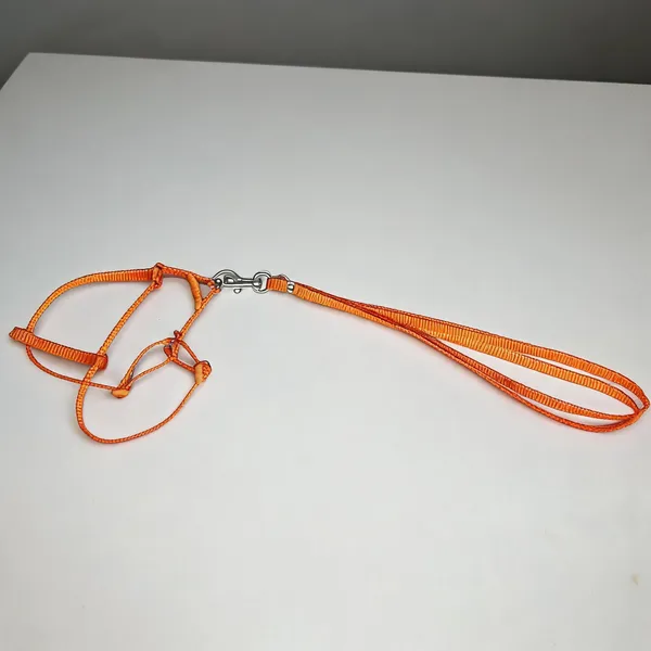Orange_Nylon_Dog_Harness_And_Leash_Set_-_Pack_of_2