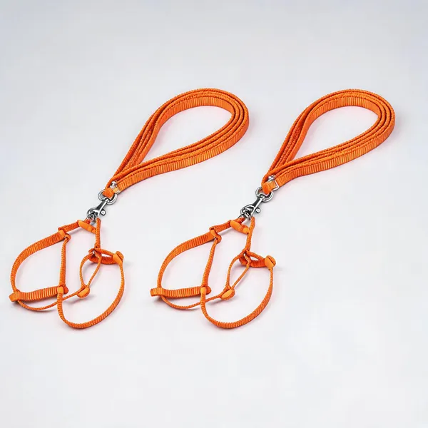 Orange_Braided_Rope_Single_Collar_Leash_Set_For_Dogs_-_Pack_of_2