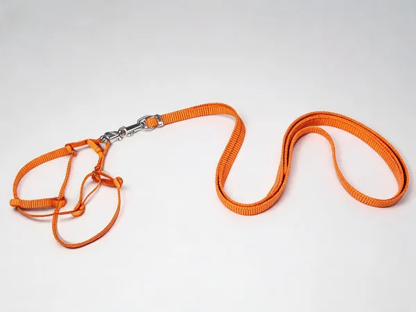 Orange_Braided_Rope_Single_Collar_Leash_Set_For_Dogs_-_Pack_of_2