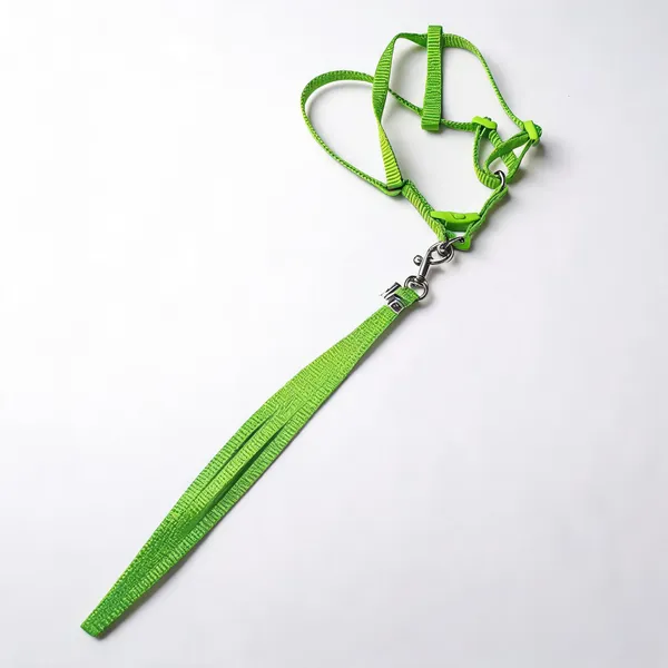 Green_Nylon_Adjustable_Dog_Harness_And_Leash_Set_-_Pack_of_2