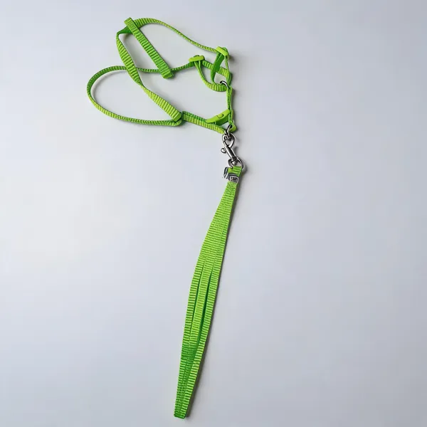 Green_Nylon_Adjustable_Dog_Harness_And_Leash_Set_-_Pack_of_2