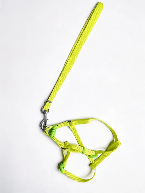 Green_Nylon_Adjustable_Dog_Harness_And_Leash_Set_-_Pack_of_2