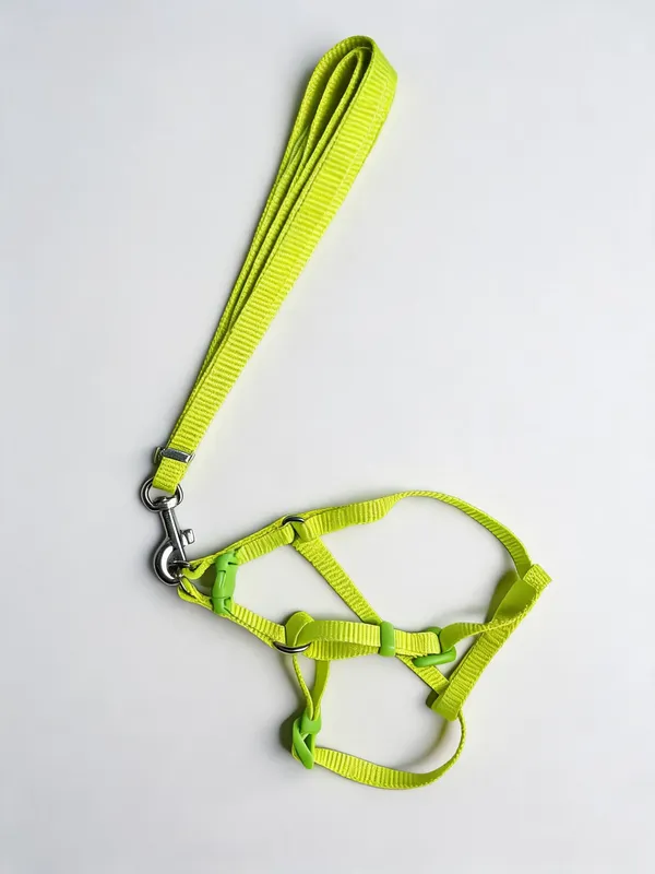 Green_Nylon_Adjustable_Dog_Harness_And_Leash_Set_-_Pack_of_2