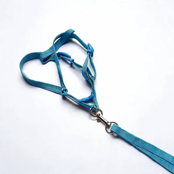 Blue_Nylon_Adjustable_Dog_Harness_And_Leash_Set_-_Pack_of_2