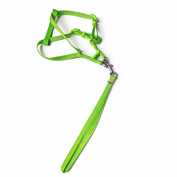 Nylon_Adjustable_Harness_And_Leash_Set_For_Dogs_Green_-_Pack_of_2