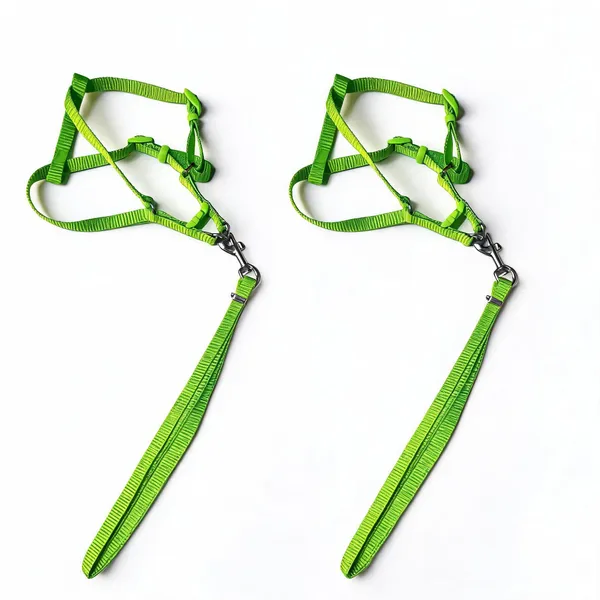Green_Nylon_Adjustable_Dog_Harness_And_Leash_Set_-_Pack_of_2