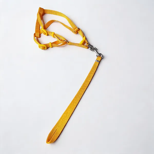 Yellow_Nylon_Dog_Harness_And_Leash_Set_-_Pack_of_2