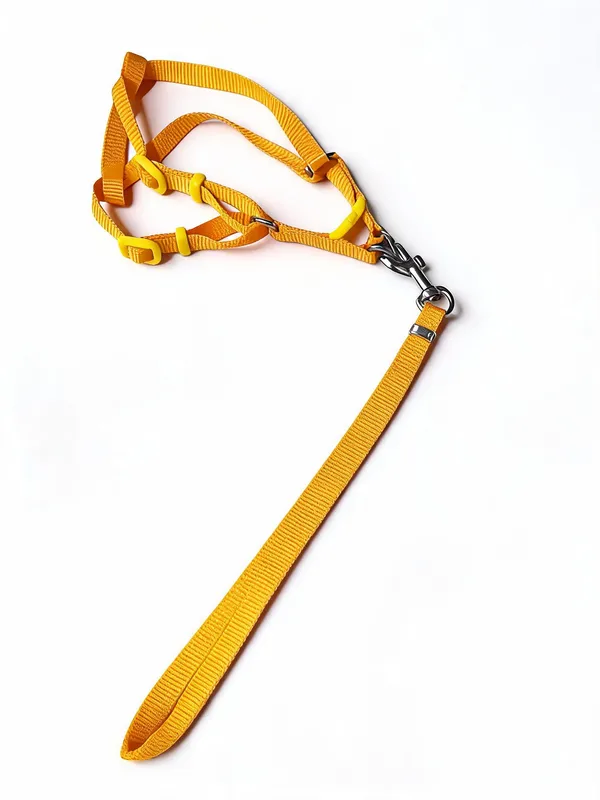 Yellow_Nylon_Harness_&_Leash_Set_For_Dogs_-_Pack_of_2
