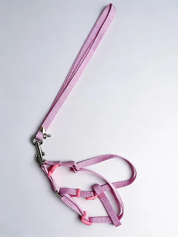 Pink_Nylon_Dog_Harness_And_Leash_Set_-_Pack_of_2