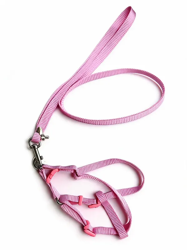 Pink_Nylon_Dog_Harness_And_Leash_Set_-_Pack_of_2