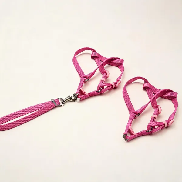 Pink_Nylon_Adjustable_Dog_Harness_And_Leash_Set_-_Pack_of_2
