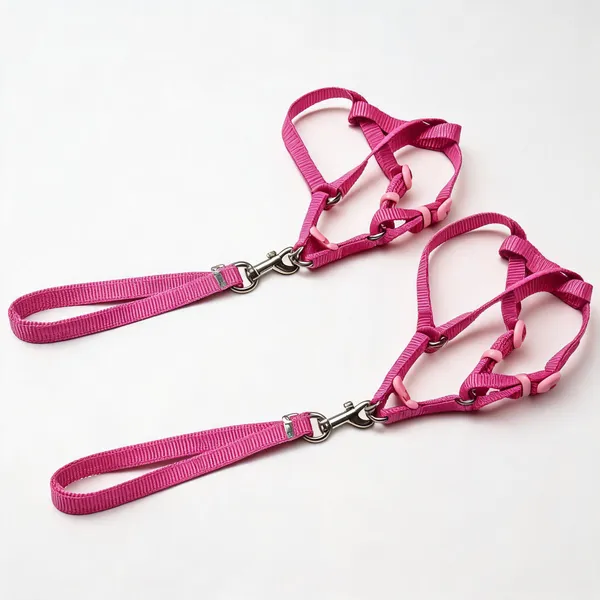 Pink_Nylon_Adjustable_Dog_Harness_And_Leash_Set_-_Pack_of_2