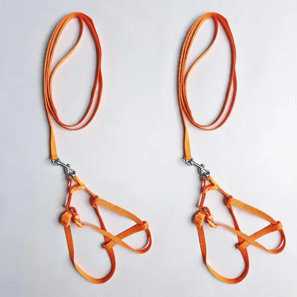 Orange_Nylon_Adjustable_Dog_Harness_And_Leash_Set_-_Pack_of_2