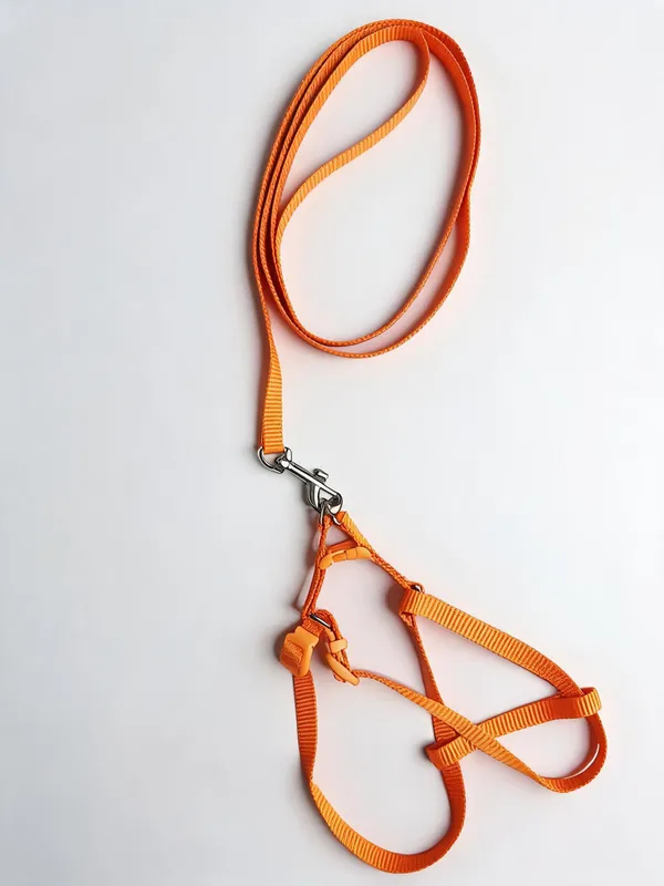Orange_Nylon_Adjustable_Dog_Harness_And_Leash_Set_-_Pack_of_2