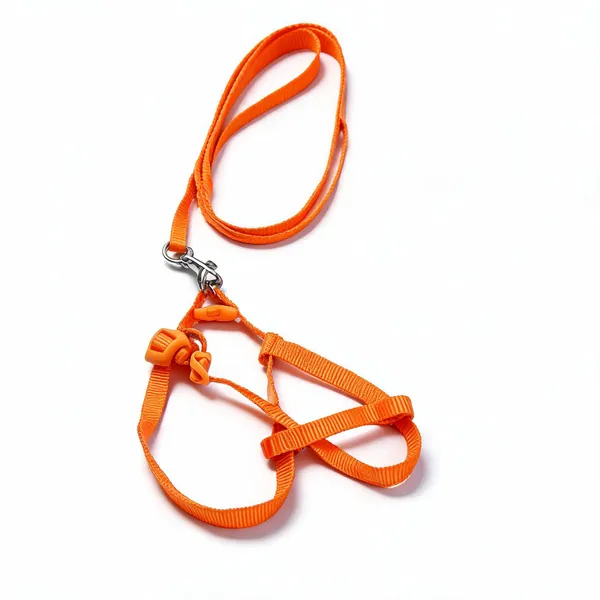 Orange_Nylon_Dog_Harness_And_Leash_Set_-_Pack_of_2
