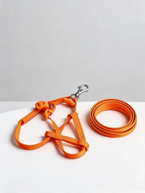 Orange_Nylon_Dog_Harness_And_Leash_Set_-_Pack_of_2