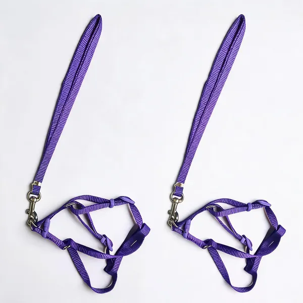 Purple_Nylon_Adjustable_Single_Collar_Set_For_Dogs_-_Pack_of_2