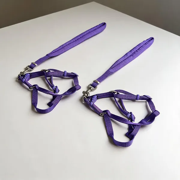 Purple_Nylon_Adjustable_Single_Collar_Set_For_Dogs_-_Pack_of_2