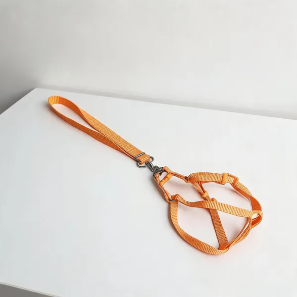 Orange_Nylon_Dog_Harness_And_Leash_Set_-_Pack_of_2
