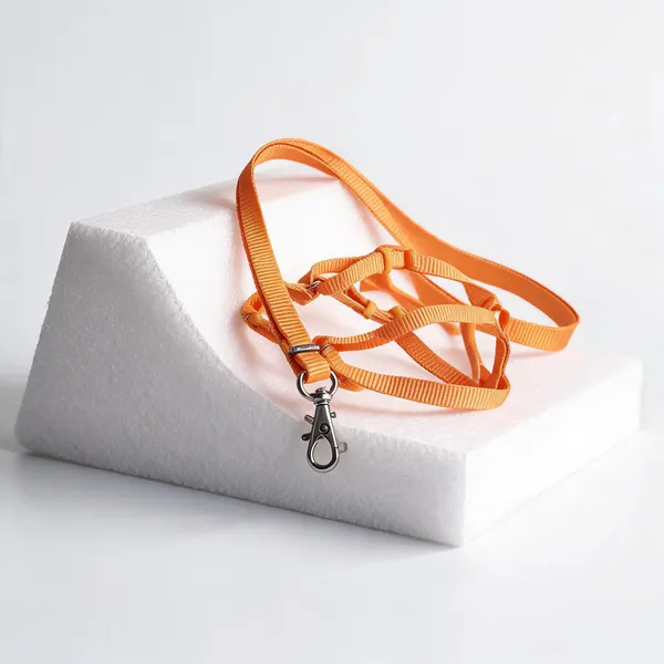 Orange_Nylon_Dog_Harness_And_Leash_Set_-_Pack_of_2