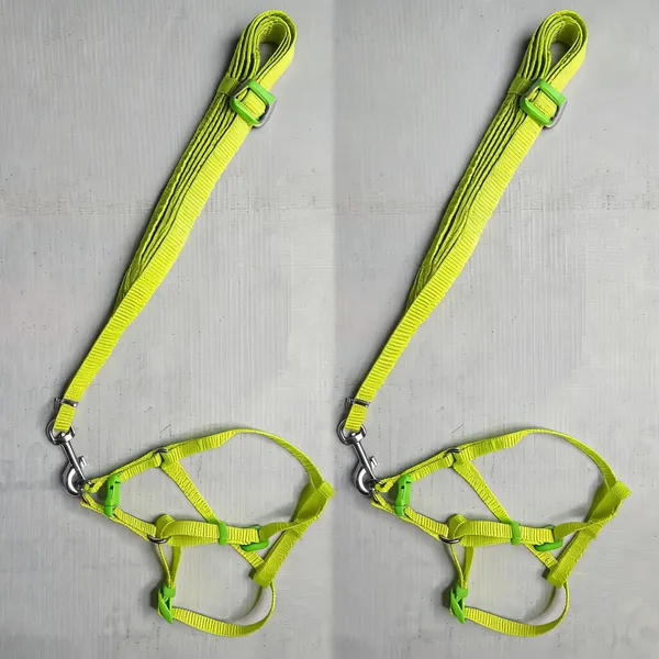 Nylon_Dog_Harness_And_Lead_Rope_Set_-_Pack_of_2