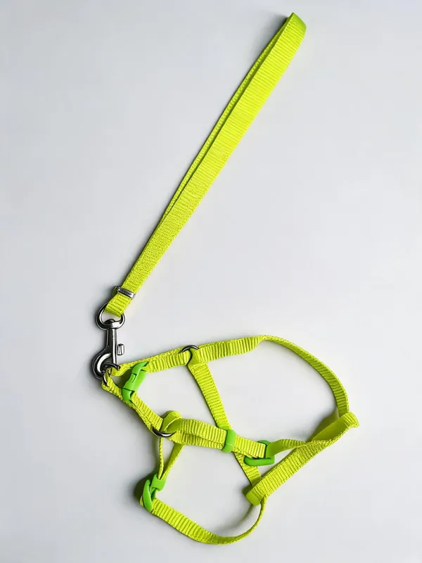 Neon_Green_Nylon_Dog_Harness_And_Leash_Collar_Set_-_Pack_of_2