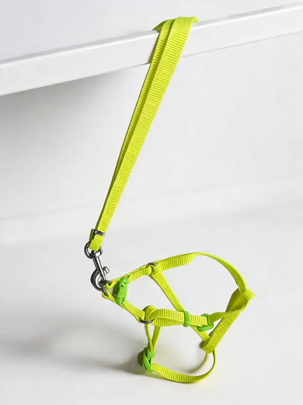 Neon_Green_Nylon_Dog_Harness_And_Leash_Collar_Set_-_Pack_of_2
