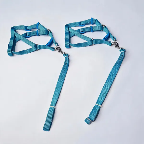 Blue_Nylon_Adjustable_Single_Collar_Set_For_Dogs_-_Pack_of_2